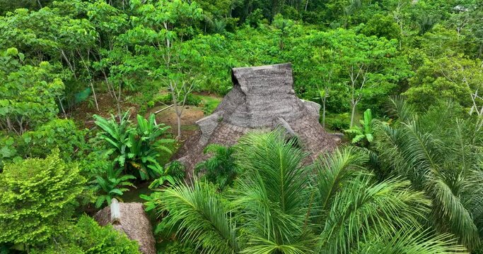 Maloca in the jungle of Peru near Iquitos, house for meditation, cerimonies, Ayahuasca, Cambpo, yoga, master plants, medicine. Aerial above view drone high resolution 4k