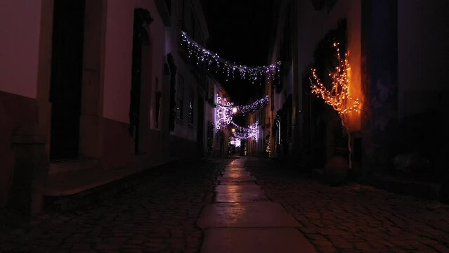Walking Christmas Night Street HD