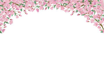 Naklejka na ściany i meble 桜の水彩画イラスト背景
