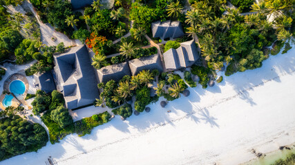 Amazing african beach Kiwengwa with palms and horizon on the background, Zanzibar, Africa