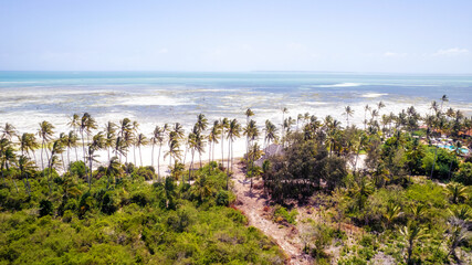Amazing african beach Kiwengwa with palms and horizon on the background, Zanzibar, Africa
