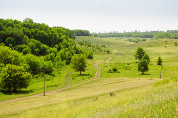 Fototapeta na wymiar Classic rural summer landscape of Sumy, Ukraine. A winding dirt road between green slopes and forest