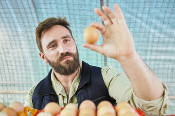 Farm, agriculture and man with egg in hand for inspection, growth production and food industry....