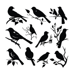 Vector collection of birds silhouette