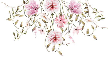 Hand drawn watercolor pink floral border. Elegant delicate illustration for poster, invitation, postcard, background and wedding invitation templates - 569449783