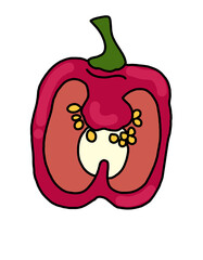 illustration of an pepper 
