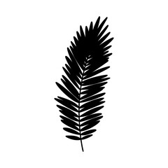 Tropical palm leaf. Black silhouette. Forest element. Vector illustration.