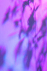 Fototapeta na wymiar Abstract flowers and grass shadows on holographic purple pink wall texture. Abstract trendy colored nature light concept background. Copy space for text overlay, poster mockup, flat lay, top view