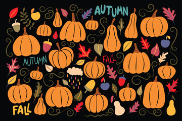 Big Collection of Autumn Plants, Pumpkins Designs. Apples, Pears, Acorns, Lot of Leaves and Deco Elements. Elegant Natural Motifs. Hand Drawn Style. Vector Illustration