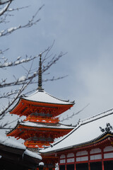 雪の清水寺