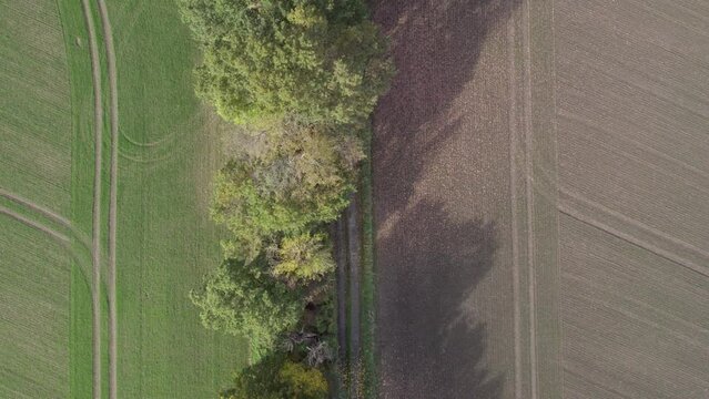 Top ascending view drone footage of country road and tree with autumn colors taken at place called Uetz in Brandenburg, Germany. Beautiful nature.