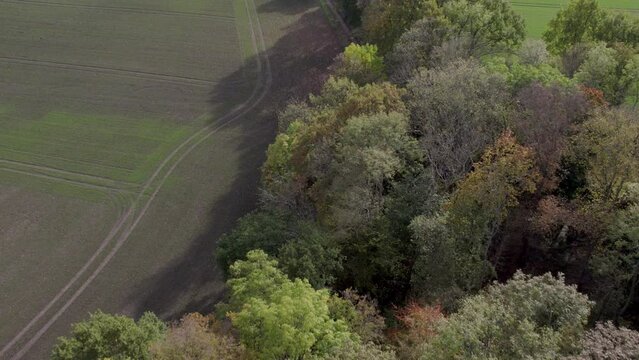 Areal drone footage of country road and trees with autumn colors taken at place called Uetz in Brandenburg, Germany.