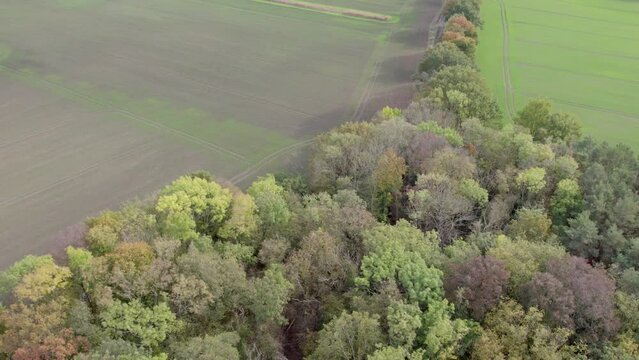 Areal drone footage of country road and trees with autumn colors taken at place called Uetz in Brandenburg, Germany.
