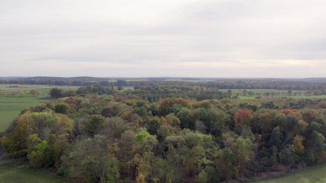 Areal drone footage of trees with autumn colors taken at place called Uetz in Brandenburg, Germany. Peaceful and tranquil atmosphere, untouched natural environment.