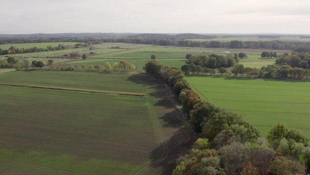 Areal drone footage of trees with autumn colors taken at place called Uetz in Brandenburg, Germany. Peaceful and tranquil atmosphere, farming fields in distance.