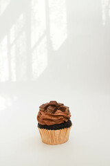 Close up Chocolate Cup Cake on White background