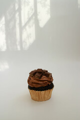 Close up Chocolate Cup Cake on White background