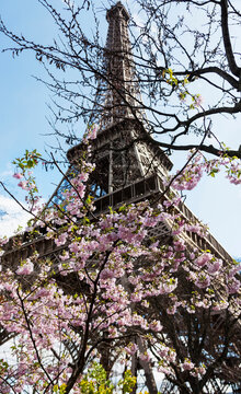 Low angle view of Eiffel Tower against sky, Paris, France