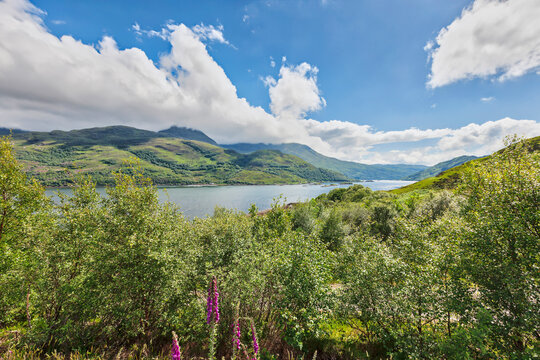 Scenic view of lake amidst green plants and mountain, Lochailort, Scotland