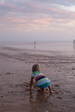 Rear view of a small child searching seashell on the beach, Lit-et-Mixe, France