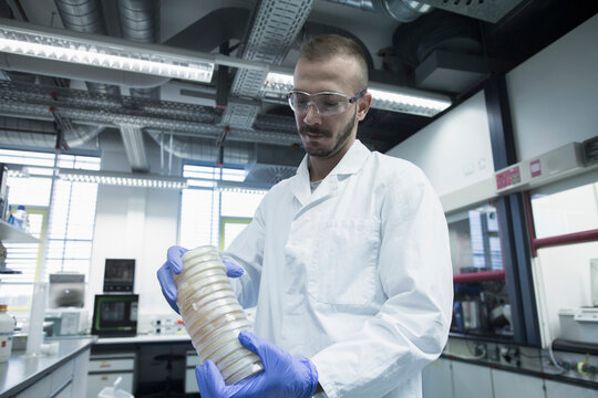 Scientist holding stack of petri dishes in a pharmacy lab, Freiburg im Breisgau, Baden-W&uuml;rttemberg, Germany