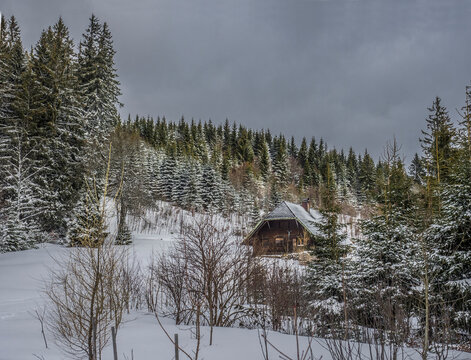Log cabin on snowcapped mountain by coniferous trees against sky