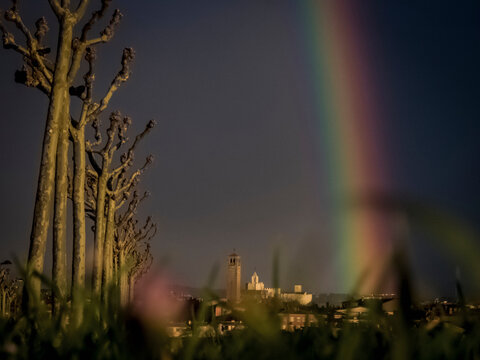 Bare trees n a row with rainbow falling on old town