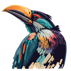 colorful hornbill pop art vector illustration
