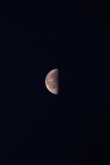 Moon