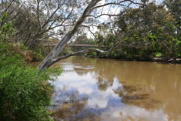 Yarra Bend Park in Melbourne
