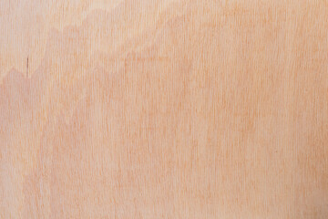 Light rough textured cut surface of an African tree. Wood background or blank for design