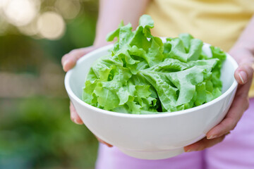 Hand holding lettuce in a white bowl. Hand holding lettuce in a white bowl.