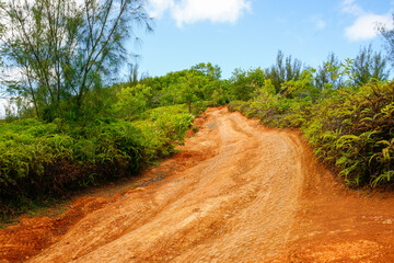 Fototapeta na wymiar Deep red soil of rutted road through tropical greenery
