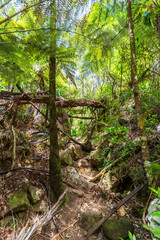 Ruins of industrial heritage related to the gold rush at Karangahake Gorge in New Zealand