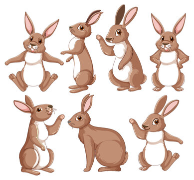 Brown rabbits in different poses set