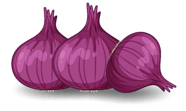 Isolated red onion cartoon