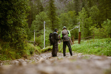 Back view of young tourist couple hiking in forest