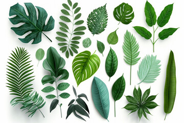 Naklejka premium Tropical Exotic Luxury leaves isolated on white background. Graphic elements for advertising and creativity.Ai generated