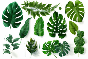 Fototapeta premium Tropical Exotic Luxury leaves isolated on white background. Graphic elements for advertising and creativity.Ai generated