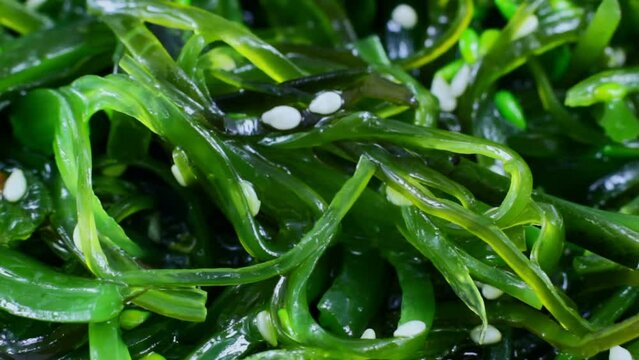 Asian green seaweed Chuka salad with sesame seeds and chopsticks close up