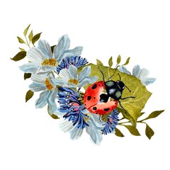 Flower daisy red ladybug leaves liana watercolor