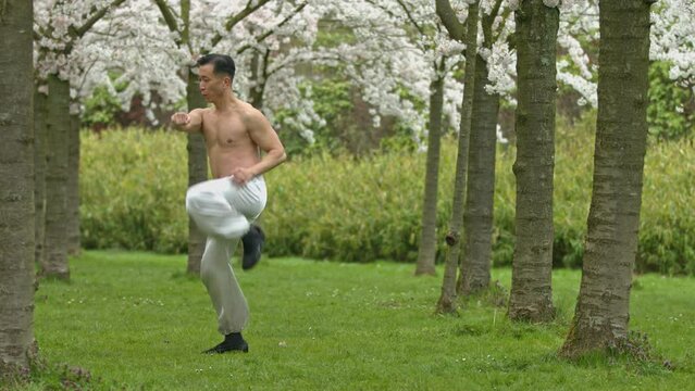 Kung-fu warrior fighting with shadow in cherry orchard.