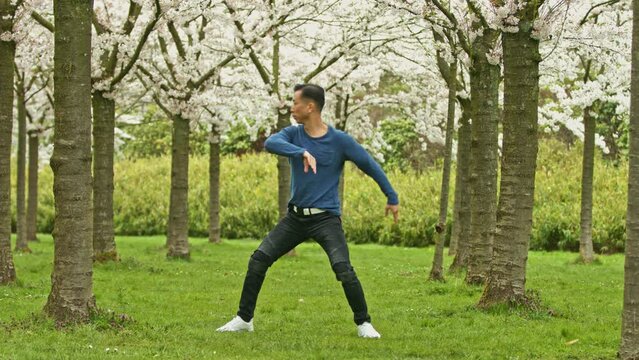 The kung-fu fighter making workout in park, under cherry trees.