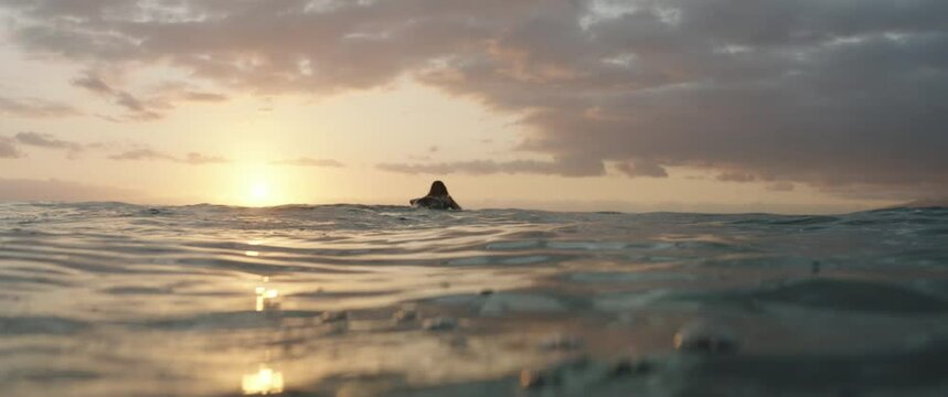 Surfer girl paddeling at sunset
