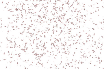 Spring tree petals fall down like confetti. Isolated 3d rendering.