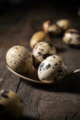 Obraz premium Quail eggs on a wooden table.