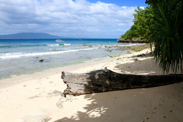 Beach on a tropical island. The dry trunk of an old tree lies on a sandy beach by the sea on a desert island.