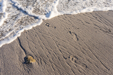 Bare footprints on a sandy shore about to be washed away by a wave. Hermanus, Whale Coast, Overberg, Western Cape, South Africa.