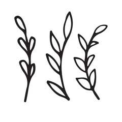 Collection sketch twigs. Floral elements hand drawn. Vector illustration