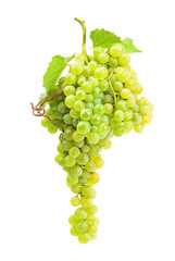 Bunch of green grapes isolated